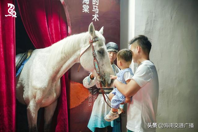 三亚新增文旅新项目 马术·大型沉浸式视觉马秀《舞马天涯》首演