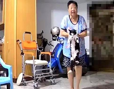 孙女监控要看猫	，叫它八百次都已读不回…奶奶：等着，我来！