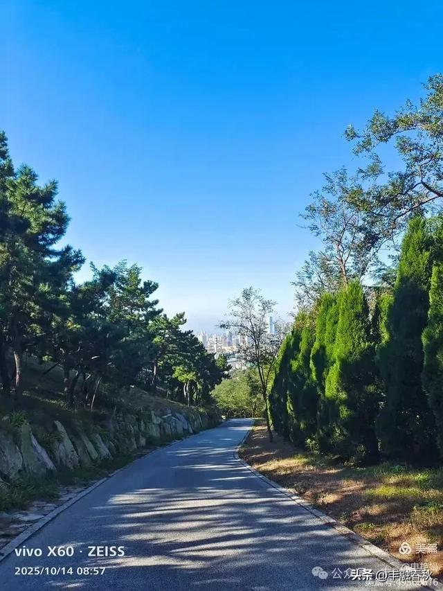 浮山漫记：藏在青岛城央的自然诗篇｜申艳娟