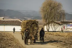 脱北者回忆录：跟随星星指引 父亲生日当天终获自由图片