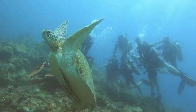 正式官宣！菲律宾对华免签！最全攻略看这里