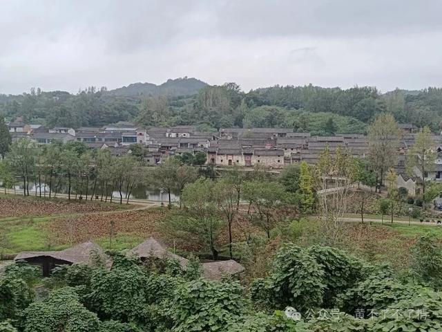 我从丁李湾走过：一湾秋色，几许闲情