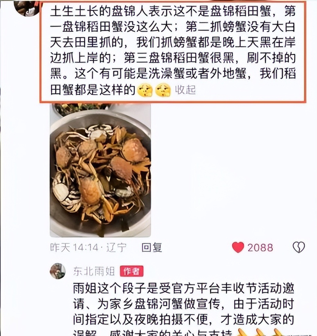 翻身无望？东北雨姐发文才11天，国新办点名批评，直播带货别想了