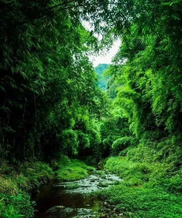 秋望雨城｜在雨城北，秋老虎望而却步！