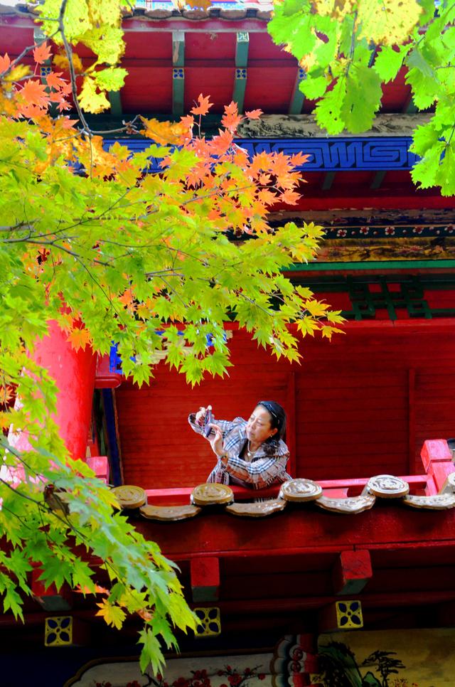 邂逅身边的绝美秋色