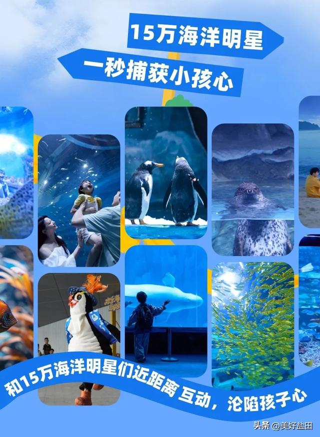 收藏！8月梅沙滨海度假狂欢指南……