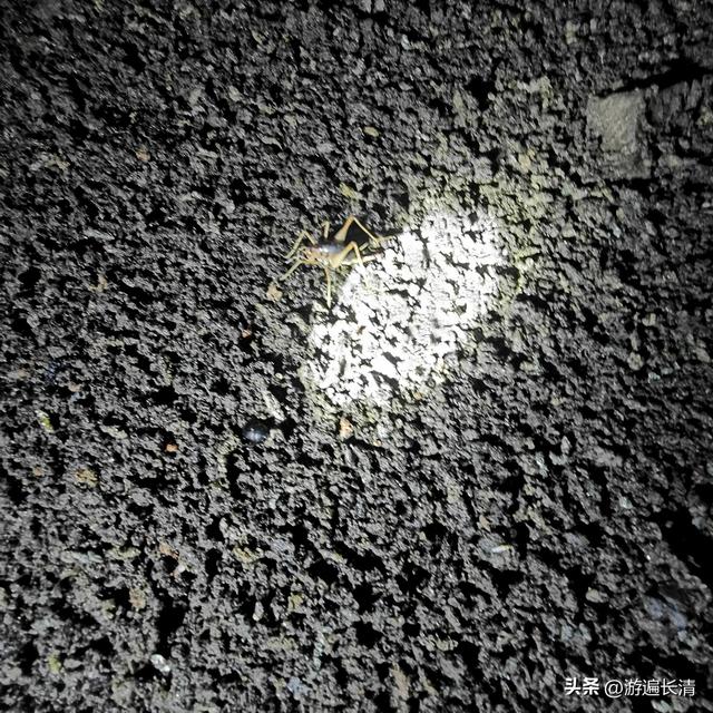 &056.炎炎烈日哪里去--张夏洞府天
