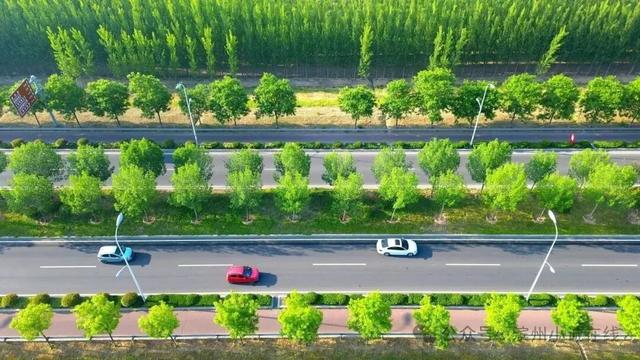 滨州：一座“宝藏小城”的实力出圈