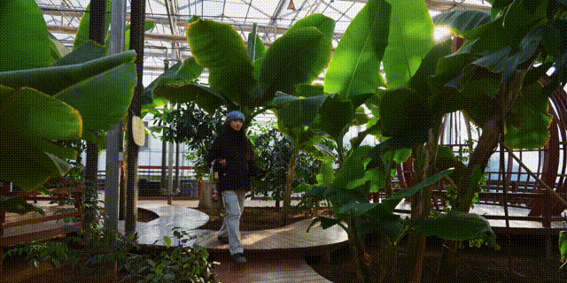 跨越山海 圆梦冰雪，秦皇岛六大玩冰戏雪好去处快收藏！