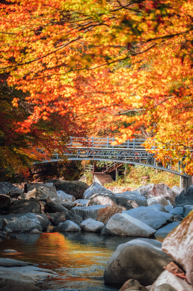 追了光雾山的红叶，这个秋天没白过！