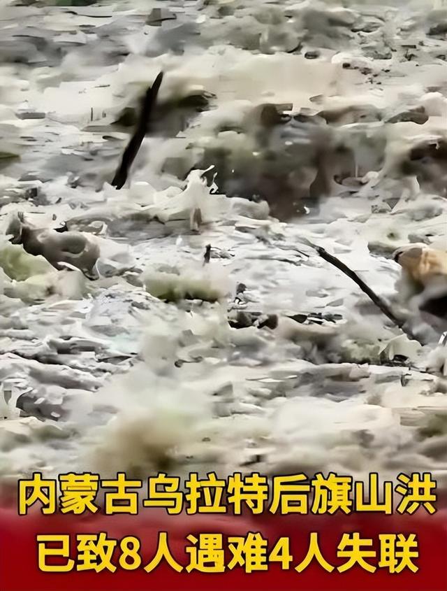 13人露营10死后续！擅自前往野景，牧民曾提醒过，没一个值得同情