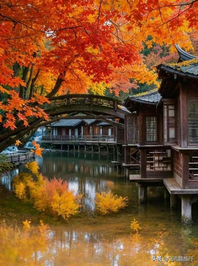 适合冬天一个人去的六个旅行地：与寒冷，也与自己温柔相拥