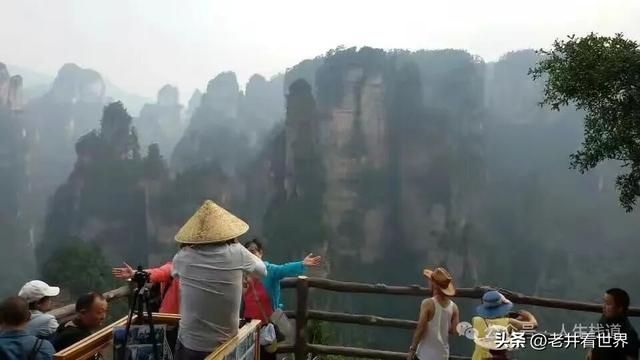 年轻的张家界 || 胡成江