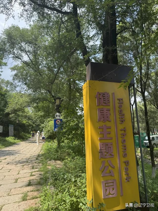 抚顺一日游小众路线曝光！90%的人没玩过的宝藏玩法→