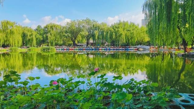 在昌平躺坪 | 20分钟，让公园治愈你