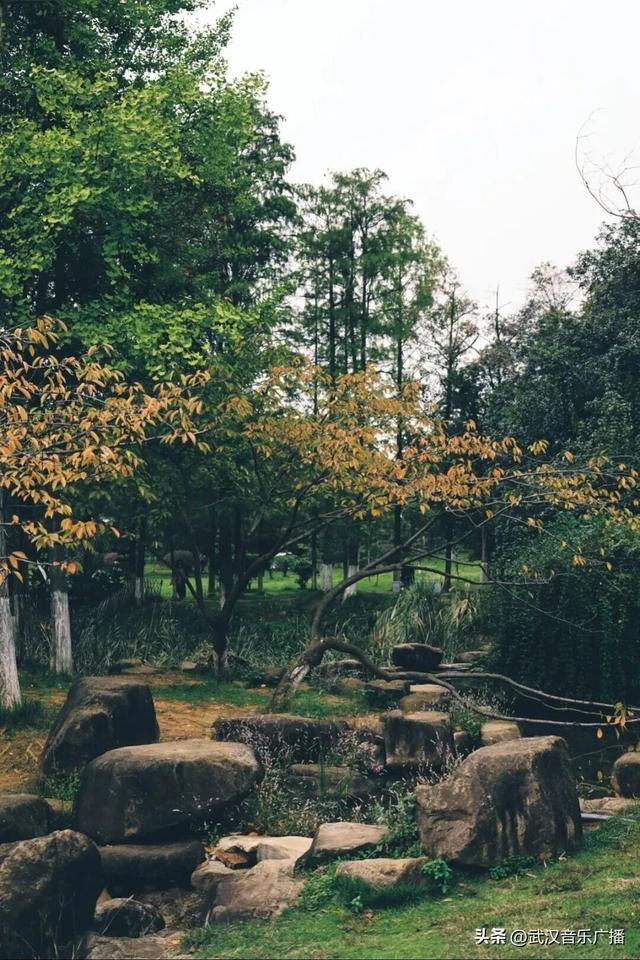 地铁+徒步，秋天的马鞍山公园，太好逛了！