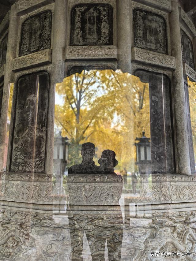 秋风独宠一园菊，晚来香艳出樊篱——北京北海公园2025年菊花展