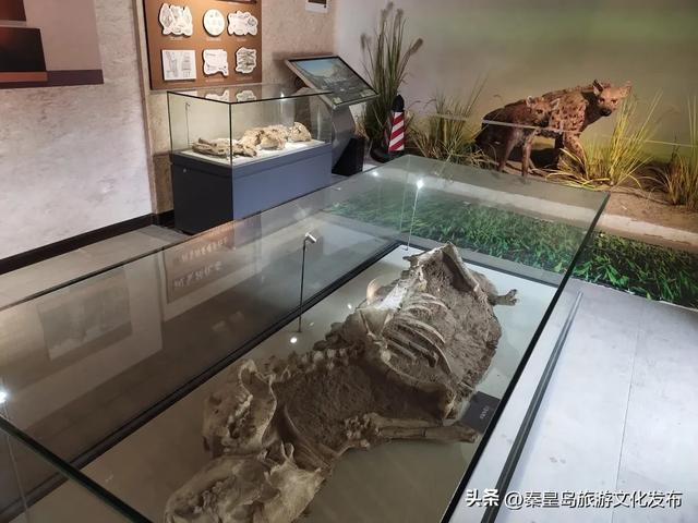 剧透来咯！“曼行”秦皇岛行程公布，一路观山览海饱览无限风光！