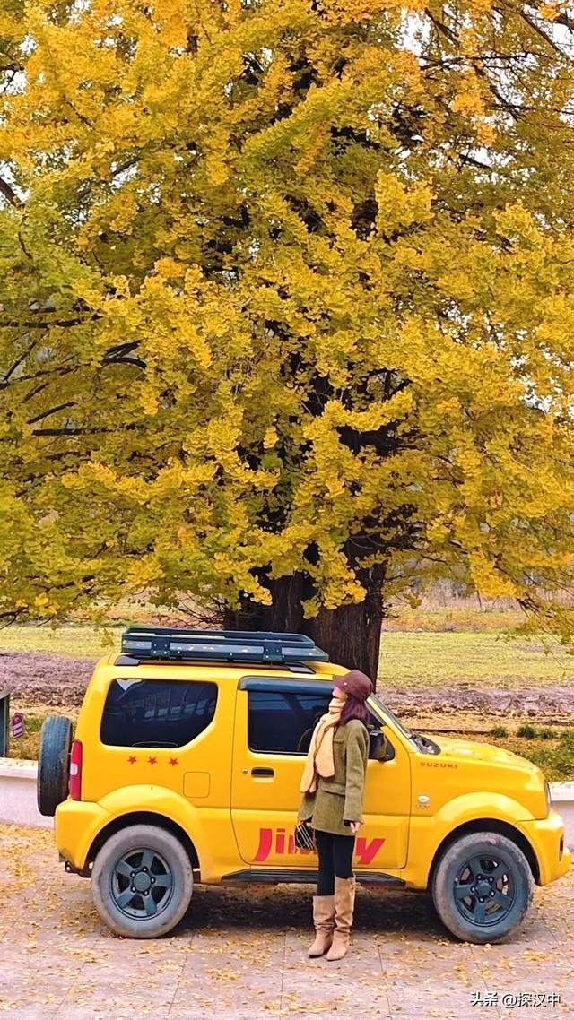 秋遇草川子，红叶醉游人