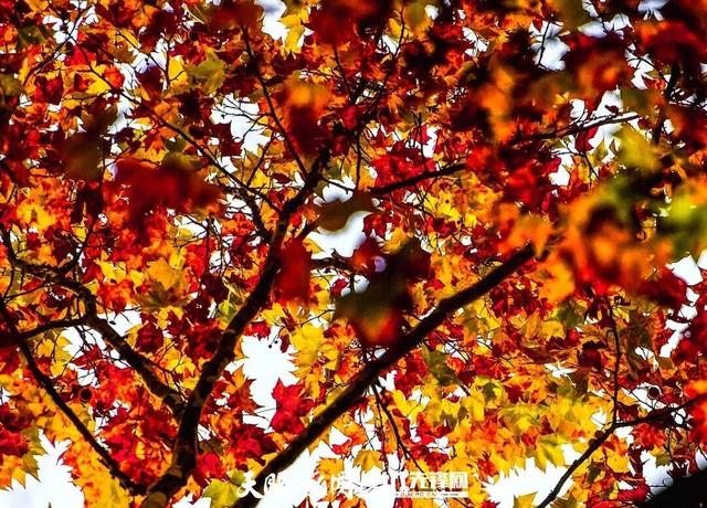 玩转贵安丨走！去贵安新区二十六厂晒太阳