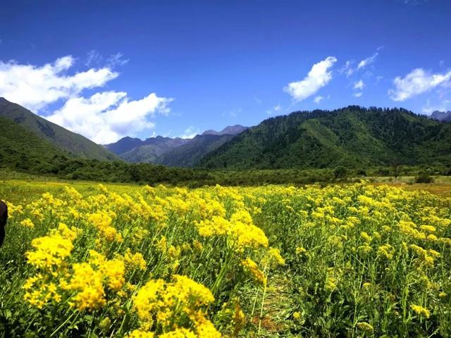 旅游新宠！成都最快1h可达的10个川内宝藏县城，景色封神！好吃好耍！你最想去哪个？