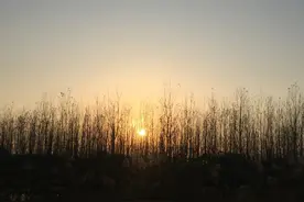 每日好诗｜我是一束草，像光一样细图片