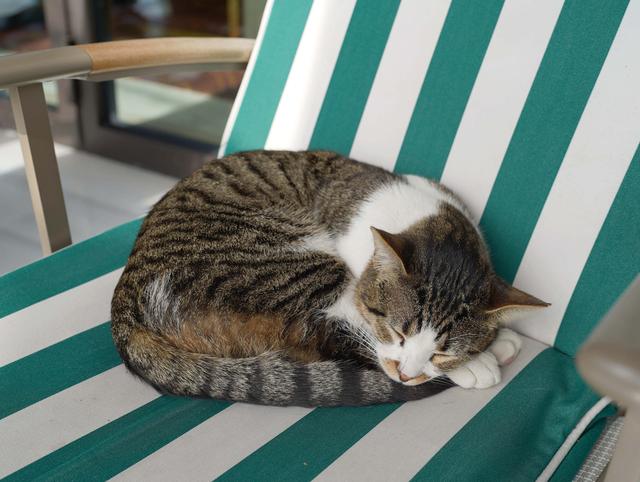 刚刚对中国免签的国度 这家酒店你一定要住！