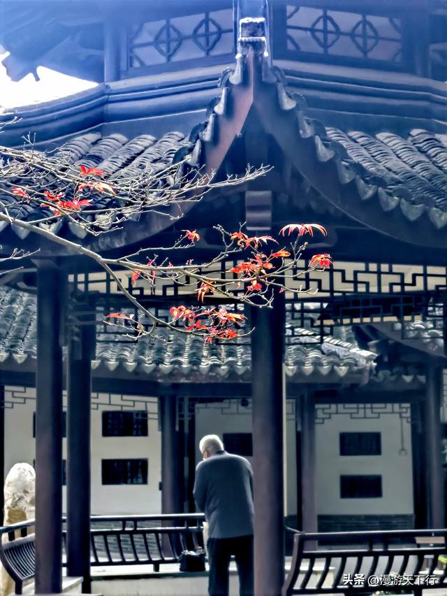 镇江三山一渡中，焦山是我的盘中菜，历史文化底蕴更为深厚