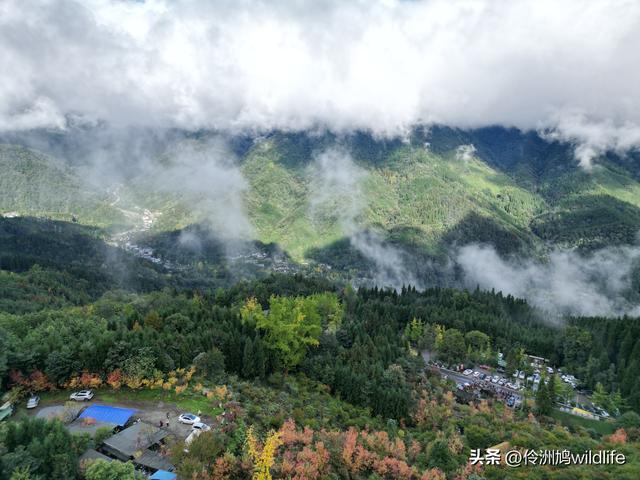 四川行(73)什邡红枫岭徒步到钟鼎寺