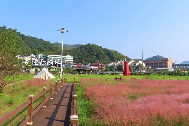 浙江宁波的山谷粉黛花海背山面溪，幽静而浪漫，周边景色更加迷人