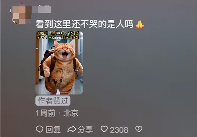 一夜爆火的AI“电子榨菜”，让同行无地自容