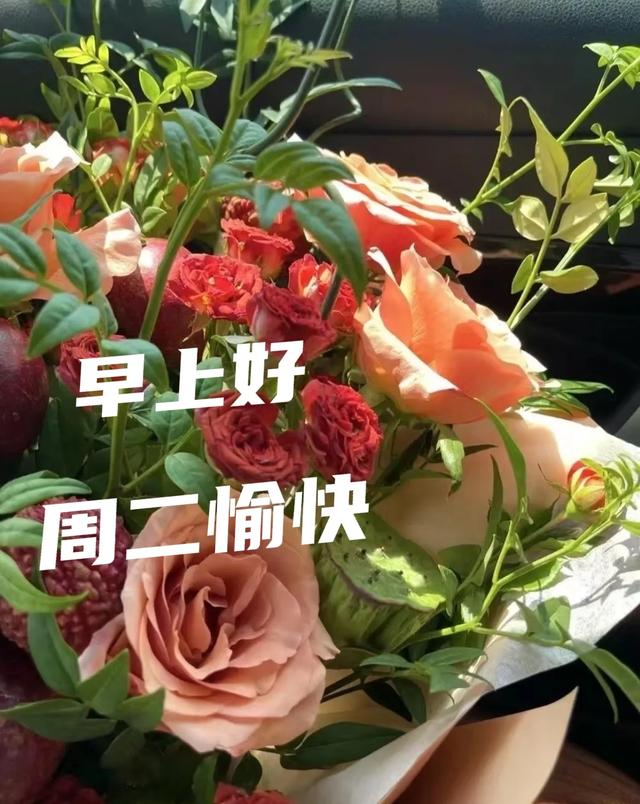 2025年7月29日早上好 早上好温馨问候语 最新早安精美图片 周二愉快
