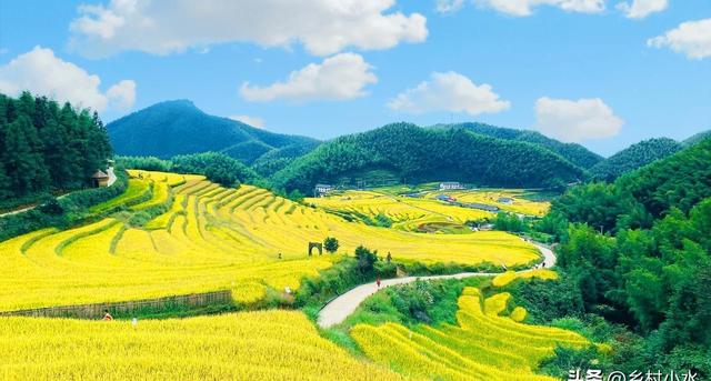 8月19日出伏，有1个好消息，1个坏消息，2个要注意，早点了解