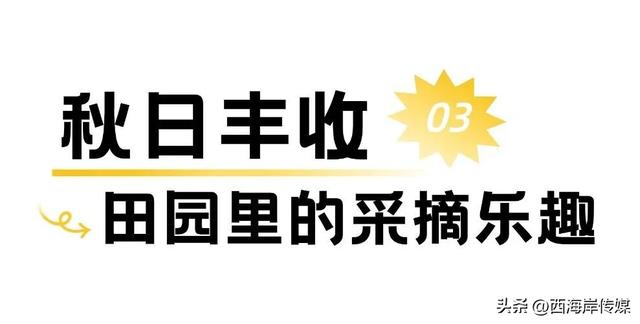 出发杨家山里！秋日游玩攻略已备好→