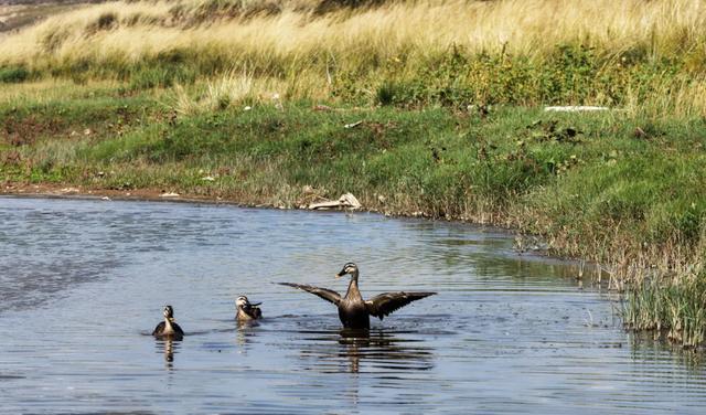 【漠南风】摄影专辑｜行走达茂 定格风光掠影