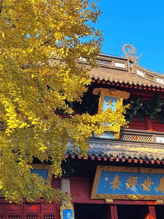 美翻了！这是接下来的上城……