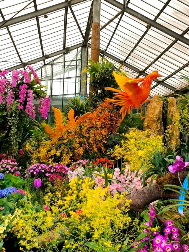 世界上只有中国广州市才有的全球独一无二的10大奇景