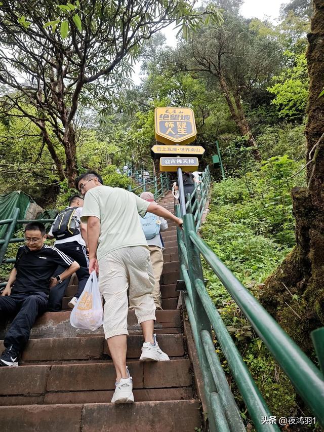 徒步瓦屋山,太艰难了,坚持下来不容易