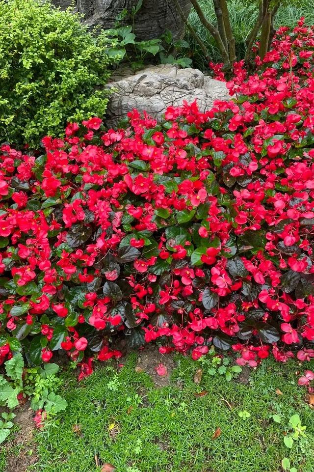 太原市迎泽区：府城漫步｜满城色彩绘就秋日画卷