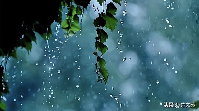 雨润中元，清凉心扉