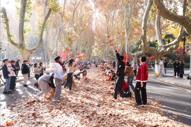 打卡！南京这处“最美200米”，近日“上线”！