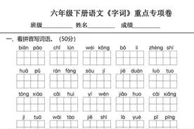 六年级下册语文期末复习字词、句重点专项卷图片