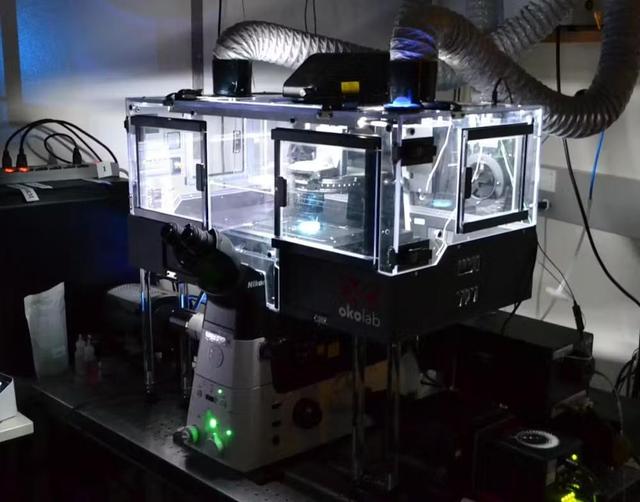 美国突破电场控粒技术！全球医疗工业格局生变，中国企业如何破局