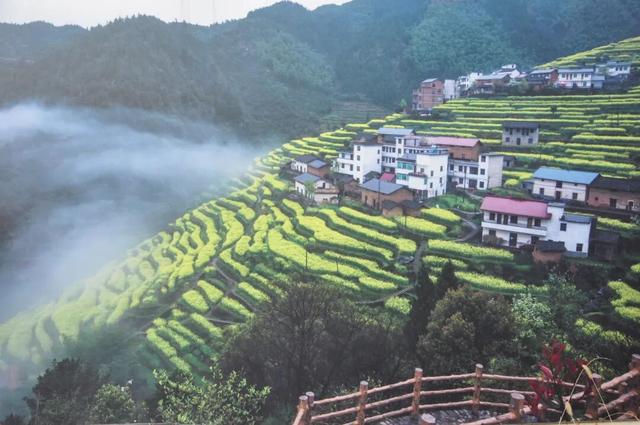 高铁1.5h！这座人少好玩无敌好吃的浙江名城，也免门票啦