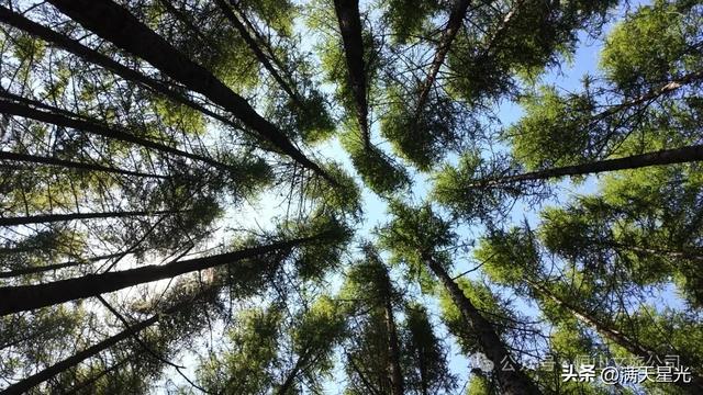 恒山讲韵|杨世骏:东方小瑞士东葫芦头村,花海美成阿勒泰既视感