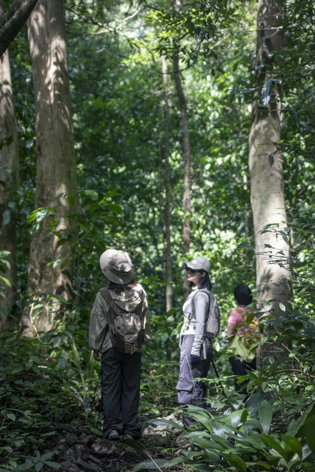 已放弃黄果树！发现了贵州隐世玩法，本地人都不知道~