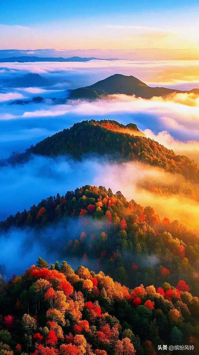 晨雾漫过秋山肩，层林燃作赤金焰