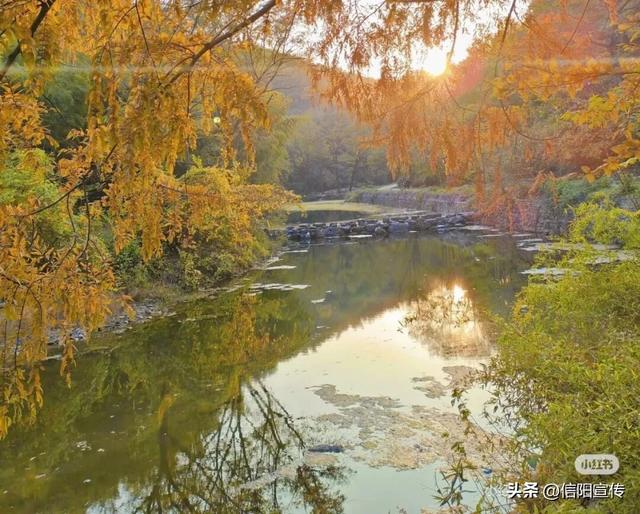 冬日信阳，独具魅力！