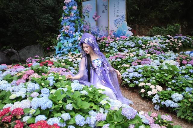 东莞观音山4月15日首日实况直击!欢迎东莞人民🤩共赏春光!