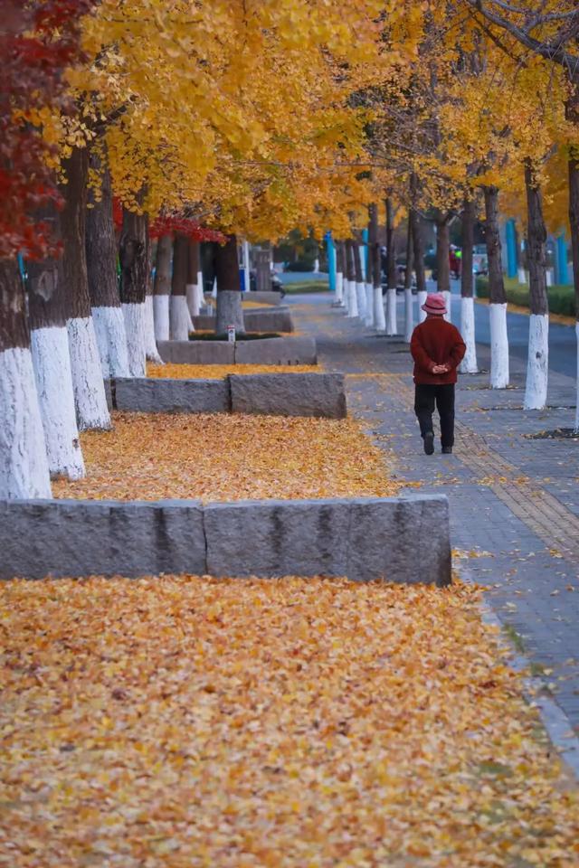 20个点位已公布!张家港人拍照请抓紧